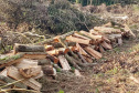 Fiscais do Instituto Ambiental do Paraná (IAP), regional de União da Vitória, identificaram nessa quinta-feira (13), no município de Paulo Frontin, uma área de corte de vegetação nativa ilegal, equivalente a 1,43 hectares de desmate.   União da Vitória, 13/06/2019  -  Foto: Divulgaação IAP
