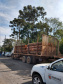 Fiscais do Instituto Ambiental do Paraná (IAP), regional de União da Vitória, identificaram nessa quinta-feira (13), no município de Paulo Frontin, uma área de corte de vegetação nativa ilegal, equivalente a 1,43 hectares de desmate.   União da Vitória, 13/06/2019  -  Foto: Divulgaação IAP