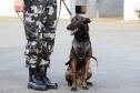 A soldado Angélica Aparecida Chuede é a primeira mulher a fazer parte da Companhia de Operações com Cães (COC) do Batalhão de Operações Especiais (BOPE), em 47 anos de criação da subunidade. A inclusão da militar estadual aconteceu com a formatura dela no Curso de Cinotecnia na última semana, que fez todas as etapas com seu cão Hunter.  -  Curitiba, 04/07/2019  =-  Foto: Soldado Amanda Morais