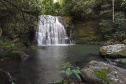 04/2019 - Capanema - Trilha da Taquara. Foto: José Fernando Ogura