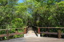 Parque Estadual Rio da Onça. Foto: Arnaldo Alves/ANPr