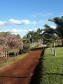 Parque Estadual Mata São Francisco. Foto: Divulgação/IAP