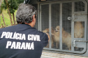 A Polícia Civil do Paraná (PCPR) cumpriu 11 mandados de busca e apreensão nesta terça-feira (13) em endereços ligados a uma rede de pet shops. Sócios e funcionários da empresa são suspeitos por maus-tratos a animais, estelionato e falsificação de documentos privados. Foto: Divulgação/Polícia Civil