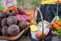 Agudos do Sul, na Região Metropolitana de Curitiba, inaugurou na tarde desta quinta-feira (5) a primeira Unidade de Alimentos Minimamente Processados, espaço para promover o desenvolvimento e o crescimento econômico das famílias rurais, gerando emprego e aumento de renda.
O secretário de Estado da Agricultura e do Abastecimento, Norberto Ortigara, destacou a importância da produção de alimentos de qualidade e elogiou a capacidade de organização da comunidade local. Foto: Gisele Barão/SEAB