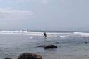 A Paraná Turismo apoiou com divulgação e marketing o evento neste fim de semana na Ilha do Mel. Surfistas profissionais desembarcaram na Ilha do Mel para mais uma etapa válida pelo Campeonato Brasileiro de Surfe. O Cattalini apresenta: Eco Ilha Surf Pro 2019 reuniu a elite do esporte nacional na disputa pelos 3 mil pontos no ranking e pelos R$ 30 mil em dinheiro, a maior premiação da história do surfe na categoria masculino, no Paraná. Foto:Kelly Frizo/Divulgação Esporte Paraná