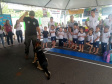Feira de Serviços registra mais de 14 mil atendimentos em Jandaia do Sul. Foto: Divulgação/SEJUF
