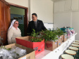 A Escola Estadual Dom Pedro II, na área rural de Campo Largo, na Região Metropolitana de Curitiba, ficará mais arborizada. Na segunda-feira (23), pelo Programa Paraná Mais Verde, de arborização rural e urbana, o controlador-geral do Estado, Raul Siqueira, e a chefe do Núcleo Regional de Educação da Área Metropolitana Sul, Chayane Callegalim Rocha, plantaram uma árvore na instituição de ensino. Foto:Divulgação/CGE