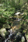 Uma equipe técnica do Instituto Ambiental do Paraná (IAP) fez vistorias de monitoramento em nove Reservas Particulares do Patrimônio Natural (RPPNs). As vistorias estão previstas no Projeto de Pagamento por Serviços Ambientais (PSA) - edital nº 01/2018 para verificar se as ações estabelecidas no Projeto Individual da Propriedade (PIP) estão sendo cumpridas pelos proprietários dessas áreas. Foto: Divulgação/IAP