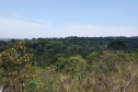 Uma equipe técnica do Instituto Ambiental do Paraná (IAP) fez vistorias de monitoramento em nove Reservas Particulares do Patrimônio Natural (RPPNs). As vistorias estão previstas no Projeto de Pagamento por Serviços Ambientais (PSA) - edital nº 01/2018 para verificar se as ações estabelecidas no Projeto Individual da Propriedade (PIP) estão sendo cumpridas pelos proprietários dessas áreas. Foto: Divulgação/IAP