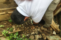 A Secretaria da Saúde do Paraná orienta a manter os ambientes limpos e organizados para evitar o aparecimento de animais peçonhentos, como aranhas, escorpiões, serpentes, que têm maior incidência em períodos de calor. Dados de 2018 indicam que no Paraná aconteceram mais de 18 mil acidentes com algum tipo de animal peçonhento.Foto: Divulgação/SESA