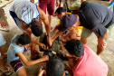 Pescadores fazem curso de mecânica de embarcações. Fotos de Pierpaolo Nota/ Portos do Paraná 