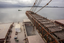 Mesmo antes do encerramento da movimentação em 2019, a exportação de milho via Porto de Paranaguá é 503% maior do que a registrada em 2018, e supera também a movimentação nos cinco anos anteriores. De janeiro a novembro deste ano, foram embarcadas 5,49 milhões de toneladas do grão. No mesmo período do ano passado o volume somou 911,3 mil toneladas.Foto: Claudio Neves/Portos do Paraná 