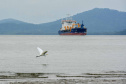 Portos conquistam descentralização e investem em obras e meio ambiente. Foto:Portos do Paraná