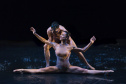 Balé Teatro Guaíra tem público recorde em 2019.