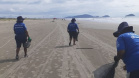 O volume de lixo coletado nas praias de Matinhos, Guaratuba e Pontal do Paraná na noite da virada do ano foi 25% maior que na mesma data do ano passado. Ao todo, foram coletadas 30,5 toneladas de entulho deixadas na areia. 
 Foto: Sanepar