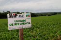 O sistema Alerta Ferrugem, desenvolvido pelo Instituto Paranaense de Assistência Técnica e Extensão Rural (Emater), está entre as melhores ferramentas de monitoramento da ferrugem asiática da soja do mundo. São 248 pontos de coleta de esporos em aproximadamente 200 municípios paranaenses, uma rede que desde 2016 tem colaborado para retardar a primeira aplicação de fungicidas, reduzindo seu uso em cerca de 35%. Foto:SEAB
