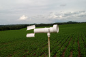 O sistema Alerta Ferrugem, desenvolvido pelo Instituto Paranaense de Assistência Técnica e Extensão Rural (Emater), está entre as melhores ferramentas de monitoramento da ferrugem asiática da soja do mundo. São 248 pontos de coleta de esporos em aproximadamente 200 municípios paranaenses, uma rede que desde 2016 tem colaborado para retardar a primeira aplicação de fungicidas, reduzindo seu uso em cerca de 35%. Foto:SEAB