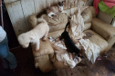 A Polícia Civil do Paraná (PCPR) fez nesta quarta-feira (08), em Guaratuba, uma ação de prevenção a maus-tratos a animais. Policiais civis, médicos veterinários e técnicos da vigilância sanitária fiscalizaram duas residências, no bairro Mirim, para verificar a condição de guarda, saúde e higiene dos animais abrigados nos locais. Foto:SESP
