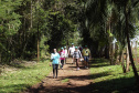 Trajetos em meio à natureza, passando por propriedades rurais e destinos que muitas vezes fogem do radar dos turistas dão o tom das Caminhadas Internacionais na Natureza, que já têm 160 circuitos confirmados neste ano no Paraná.  Foto: Emater/Campo Mourão