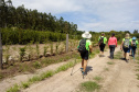 Trajetos em meio à natureza, passando por propriedades rurais e destinos que muitas vezes fogem do radar dos turistas dão o tom das Caminhadas Internacionais na Natureza, que já têm 160 circuitos confirmados neste ano no Paraná.  Foto: Claudemir R José Freire
