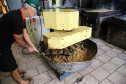 Produção de açucar mascavo e de melado de açúcar mascavo de cana-de-açúcar produzido pelo produtor Rafael Morgenstern em Capanema, no sudoeste do Paraná.  Capanema - 16/01/2020 - Foto: Geraldo Bubniak/AEN