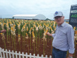 Nesta quarta-feira (22), dois eventos, a Safratec, em Floresta, e o Superagro, em Londrina, foram acompanhados por integrantes do Governo do Estado.
Foto: Emater
