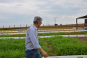 Nesta quarta-feira (22), dois eventos, a Safratec, em Floresta, e o Superagro, em Londrina, foram acompanhados por integrantes do Governo do Estado.
Foto: Emater