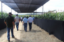 O secretário estadual da Agricultura e do Abastecimento, Norberto Ortigara, participou nesta quarta-feira (29), em Cambé, do 19º BelaSafra 2020, evento da Belagrícola que está apresentando as últimas tecnologias para maximizar a produtividade no campo. O diretor-presidente da Agência de Defesa Agropecuária do Paraná (Adapar), Otamir Cesar Martins, e o deputado estadual Tiago Amaral, também estiveram no evento. Foto: SEAB