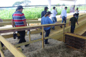 O secretário estadual da Agricultura e do Abastecimento, Norberto Ortigara, participou nesta quarta-feira (29), em Cambé, do 19º BelaSafra 2020, evento da Belagrícola que está apresentando as últimas tecnologias para maximizar a produtividade no campo. O diretor-presidente da Agência de Defesa Agropecuária do Paraná (Adapar), Otamir Cesar Martins, e o deputado estadual Tiago Amaral, também estiveram no evento. Foto: SEAB