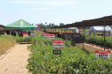 O secretário estadual da Agricultura e do Abastecimento, Norberto Ortigara, participou nesta quarta-feira (29), em Cambé, do 19º BelaSafra 2020, evento da Belagrícola que está apresentando as últimas tecnologias para maximizar a produtividade no campo. O diretor-presidente da Agência de Defesa Agropecuária do Paraná (Adapar), Otamir Cesar Martins, e o deputado estadual Tiago Amaral, também estiveram no evento. Foto: SEAB
