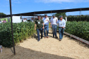 O secretário estadual da Agricultura e do Abastecimento, Norberto Ortigara, participou nesta quarta-feira (29), em Cambé, do 19º BelaSafra 2020, evento da Belagrícola que está apresentando as últimas tecnologias para maximizar a produtividade no campo. O diretor-presidente da Agência de Defesa Agropecuária do Paraná (Adapar), Otamir Cesar Martins, e o deputado estadual Tiago Amaral, também estiveram no evento. Foto: SEAB