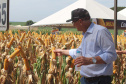 O secretário estadual da Agricultura e do Abastecimento, Norberto Ortigara, participou nesta quarta-feira (29), em Cambé, do 19º BelaSafra 2020, evento da Belagrícola que está apresentando as últimas tecnologias para maximizar a produtividade no campo. O diretor-presidente da Agência de Defesa Agropecuária do Paraná (Adapar), Otamir Cesar Martins, e o deputado estadual Tiago Amaral, também estiveram no evento. Foto: SEAB