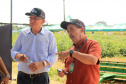 O secretário estadual da Agricultura e do Abastecimento, Norberto Ortigara, participou nesta quarta-feira (29), em Cambé, do 19º BelaSafra 2020, evento da Belagrícola que está apresentando as últimas tecnologias para maximizar a produtividade no campo. O diretor-presidente da Agência de Defesa Agropecuária do Paraná (Adapar), Otamir Cesar Martins, e o deputado estadual Tiago Amaral, também estiveram no evento. Foto: SEAB