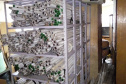 Foto: Arquivo/AEN