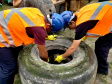 Empresa pública tem agenda de fiscalização e limpeza contra o mosquito Ades Aegypti, transmissor da dengue, zika, chikungunya e febre amarela.
Foto: Pierpaolo Nota/APPA