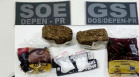 A regional de Maringá do Departamento Penitenciário do Paraná (Depen) divulgou, na tarde desta segunda-feira (03/02), o balanço das operações, prisões e apreensões realizadas nas 42 unidades penais subordinadas à coordenação da região noroeste em todo o ano de 2019. Foto: DEPEN
