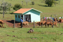 Produtores agrícolas paranaenses que desejam construir suas casas têm um novo incentivo do poder público. O Governo do Paraná e o Banco do Brasil firmaram uma parceria que oferece financiamentos de R$ 50 mil para a execução das obras dentro do Programa Nacional de Fortalecimento da Agricultura Familiar (Pronaf). O primeiro contrato que marcou o início dos trabalhos foi assinado durante o 32.º Show Rural, que vai até esta sexta-feira (7), em Cascavel.