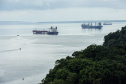 Os gastos com sobre-estadia (demurrage) na importação dos fertilizantes pelos portos do Paraná foram 43% menor em 2019. Os dados foram divulgados nesta quarta-feira (05) pelo Sindicato da Indústria de Adubos e Corretivos Agrícolas no Estado do Paraná (Sindiadubos). No ano, o setor economizou US$ 20,39 milhões.
Curitiba, 06/02/2020. Foto; Cláudio Neves/Portos do Paraná