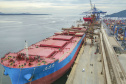 O Porto de Paranaguá vai movimentar nesta semana a maior quantidade de grãos para exportação da história. O navio chinês Lan Hua Hai chega nesta segunda-feira (27) no porto paranaense e vai receber 90 mil toneladas de farelo de soja ? o equivalente a cerca de 2,5 mil carretas carregadas. A previsão é que a operação dure quatro dias.  -  Paranaguá, 28/05/2019  -  Foto: José Fernando Ogura/ANPr