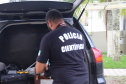 Segurança Pública aplica tecnologia e reforça efetivos para acompanhamento das festas de Carnaval no Litoral  -  Curitiba, 21/02/2020  -  Foto: Divulgação SESP