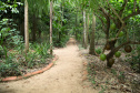 Ilhas, trilhas e praias cristalinas formam as belezas do Rio Paraná.Guaíra - Foto: Ari Dias/AEN