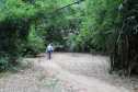 Ilhas, trilhas e praias cristalinas formam as belezas do Rio Paraná.Guaíra - Foto: Ari Dias/AEN