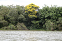 Ilhas, trilhas e praias cristalinas formam as belezas do Rio Paraná.Guaíra - Foto: Ari Dias/AEN