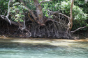 Ilhas, trilhas e praias cristalinas formam as belezas do Rio Paraná.Icaraíma - Foto: Ari Dias/AEN