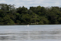 Ilhas, trilhas e praias cristalinas formam as belezas do Rio Paraná.Icaraíma - Foto: Ari Dias/AEN