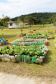 Escolas do Paraná são espaço de aprendizagem e acolhimento. Foto: Silvio Turra/SEED