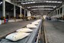 Porto de Paranaguá faz embarque inédito de fubá em sacas. Foto:Portos do Paraná