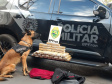 BPFron apreende 5,4 toneladas de maconha no 1.º quadrimestre. Foto:PMPR