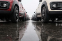 Porto de Paranaguá retoma exportação de automóveis