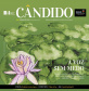 Jornal Cândido de junho traz especial sobre o centenário de Clarice Lispector
. Foto:BPP